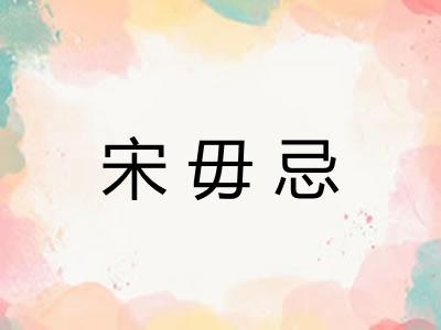 宋毋忌 宋毋忌