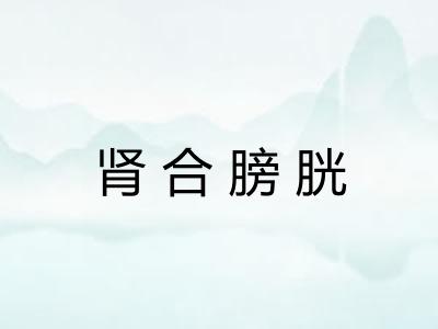 肾合膀胱 肾合膀胱