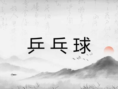 乒乓球 乒乓球