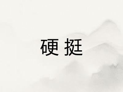硬挺