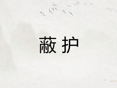 蔽护