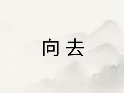 向去 向去
