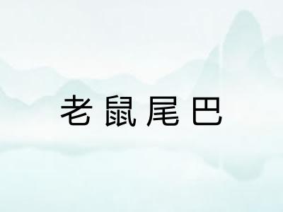 老鼠尾巴 老鼠尾巴