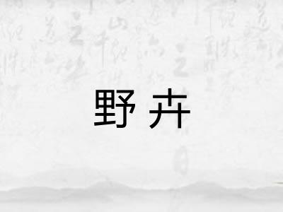 野卉 野卉