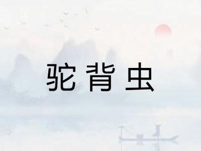 驼背虫