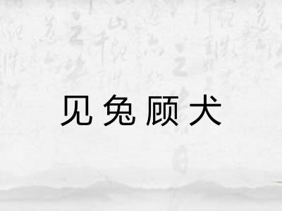 见兔顾犬