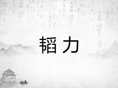 韬力