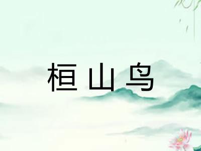 桓山鸟