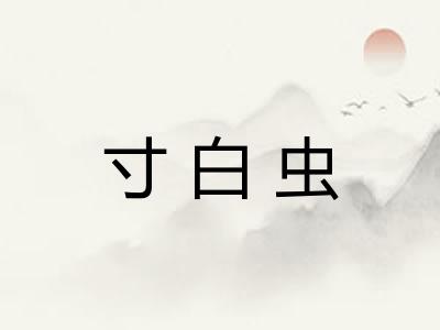 寸白虫