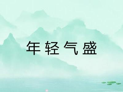 年轻气盛 年轻气盛