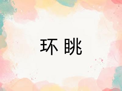 环眺
