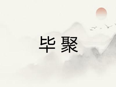 毕聚