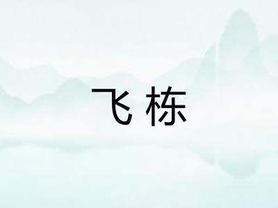 飞栋