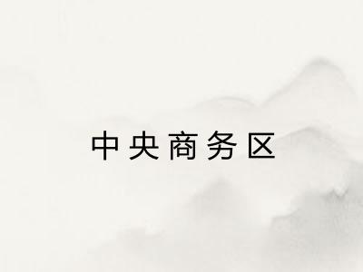 中央商务区 中央商务区