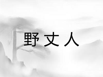 野丈人