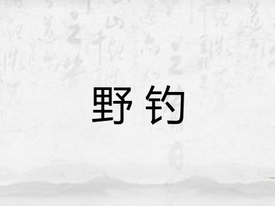 野钓 野钓