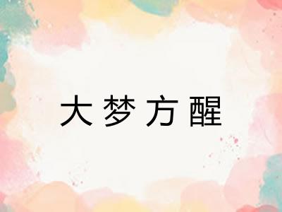 大梦方醒