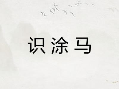 识涂马