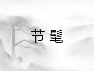 节髦