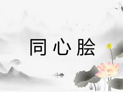 同心脍