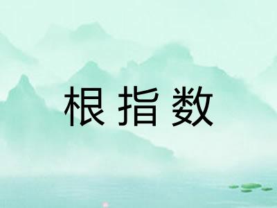 根指数 根指数