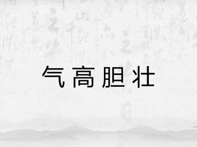 气高胆壮