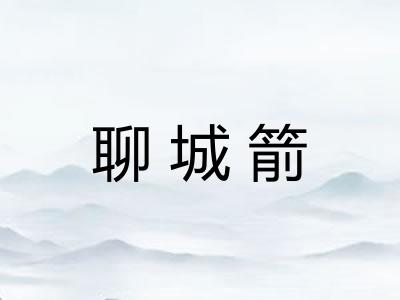 聊城箭