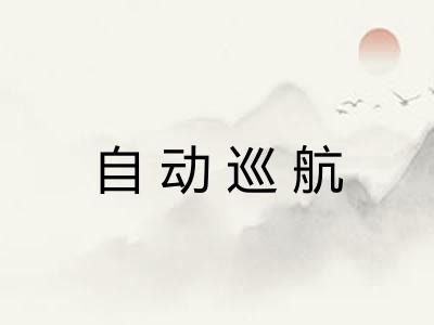 自动巡航
