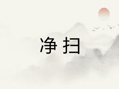 净扫 净扫