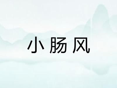 小肠风