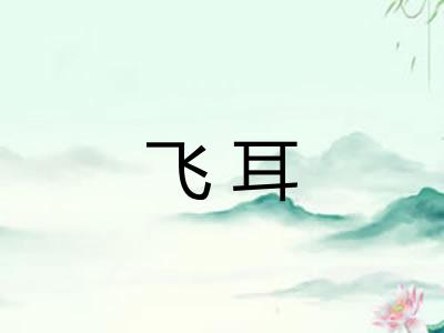 飞耳