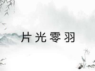 片光零羽 片光零羽