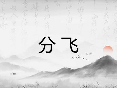 分飞 分飞