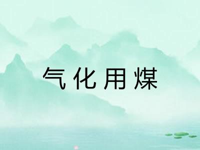 气化用煤