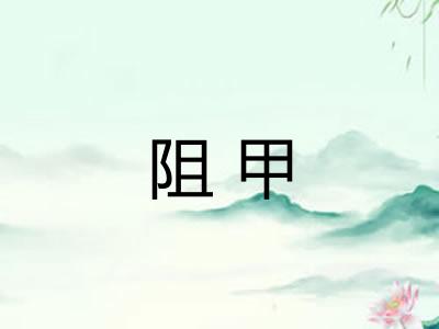 阻甲