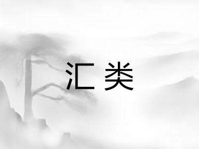 汇类
