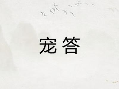 宠答
