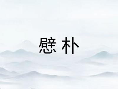 憵朴