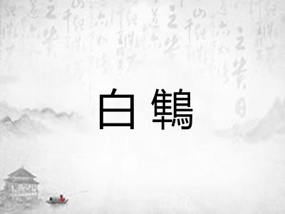 白鶽