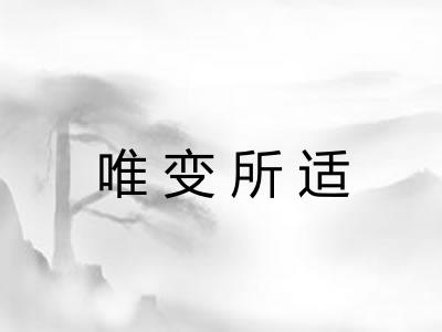唯变所适