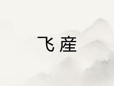 飞産