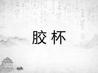 胶杯