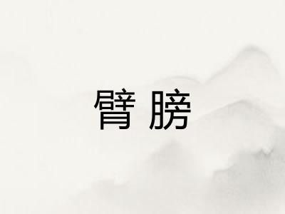 臂膀