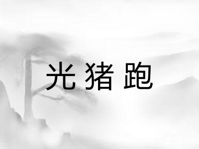 光猪跑 光猪跑