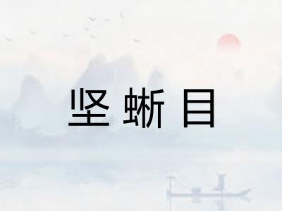 坚蜥目