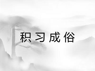 积习成俗