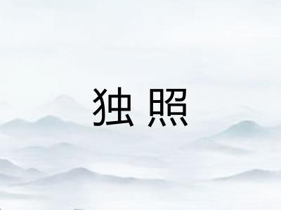 独照