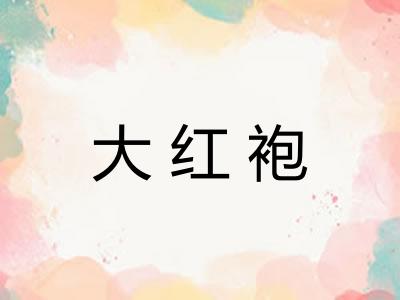 大红袍