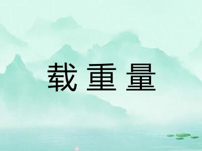 载重量