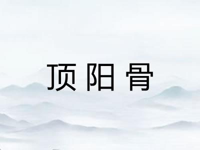 顶阳骨